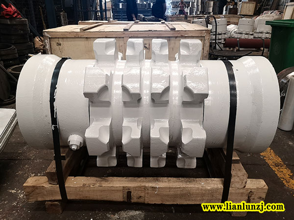 解析！158S800303鏈輪軸組失效形式