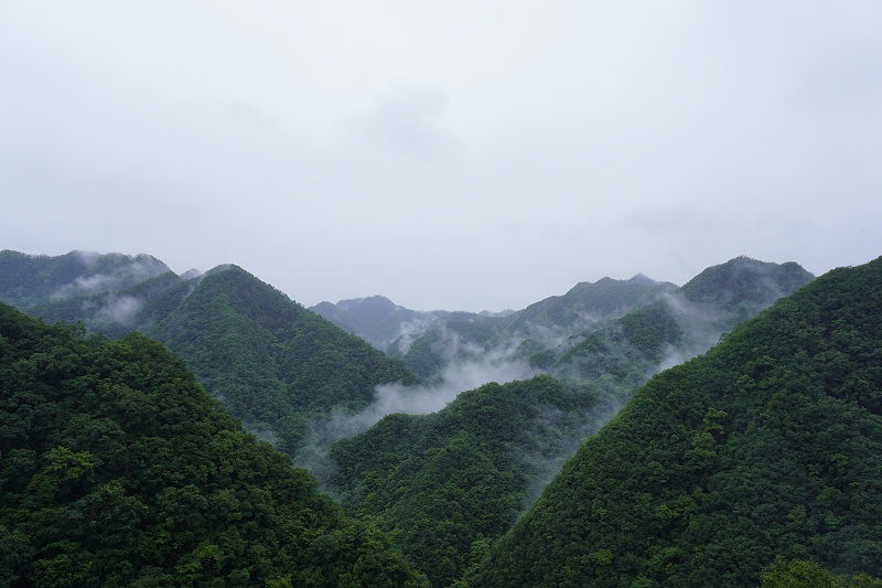 河南雙志團建風(fēng)景圖